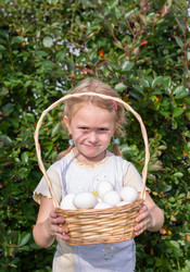 Similar image 21354312