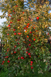 Similar image 21353260