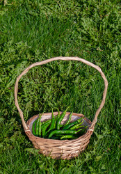 Similar image 21357902