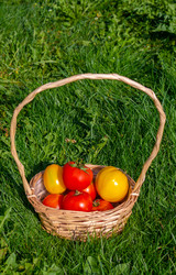 Similar image 21355498