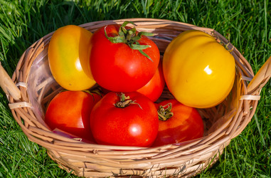 Similar image 21355499