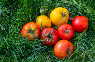 Similar image 21355500