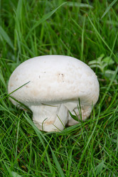 Similar image 21357907