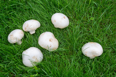 Similar image 21357908