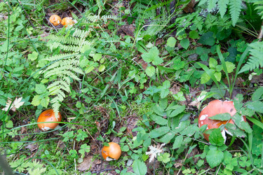 Similar image 21357910