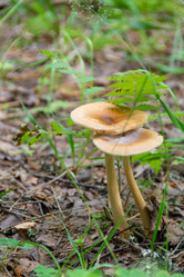 Similar image 21357912