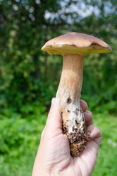 Similar image 21357914