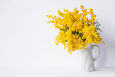 Similar image 21354169