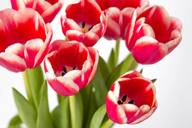 Similar image 21354171