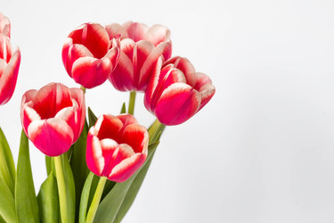 Similar image 21357743