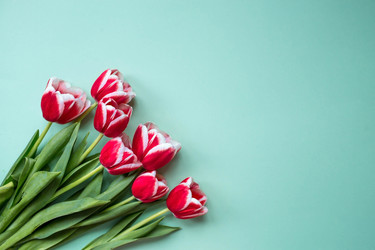 Similar image 21354172