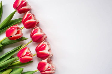 Similar image 21357744