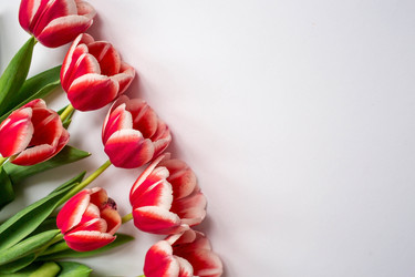 Similar image 21361109