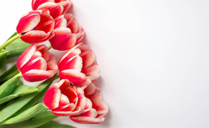 Similar image 21357745