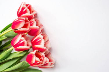 Similar image 21357746