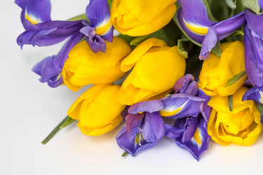 Similar image 21357747