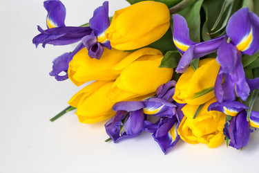 Similar image 21354186