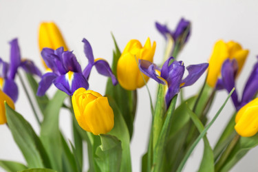 Similar image 21361111