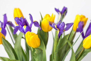 Similar image 21357749