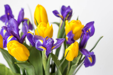 Similar image 21357750