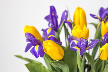 Similar image 21361112