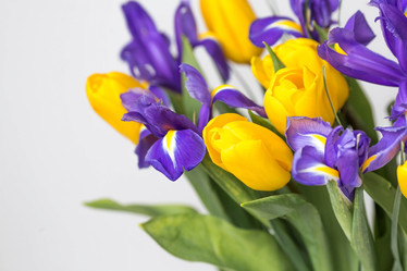 Similar image 21357751