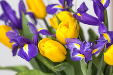 Similar image 21361113