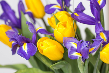 Similar image 21357753