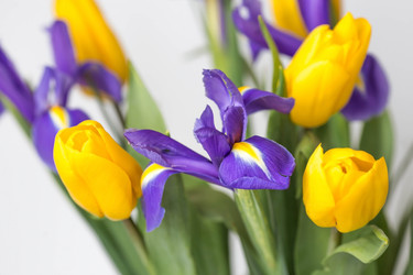 Similar image 21361114