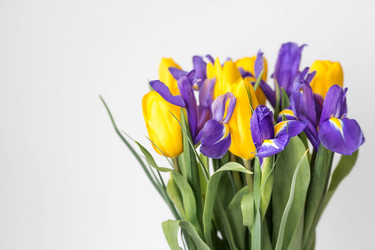 Similar image 21354188