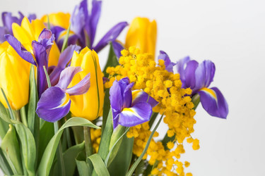 Similar image 21354190