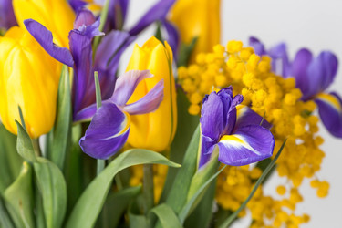 Similar image 21361223