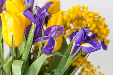 Similar image 21361224