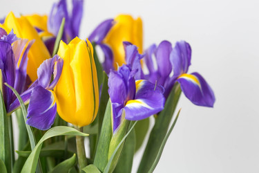 Similar image 21357755