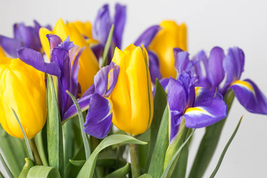 Similar image 21357756