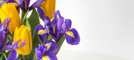 Similar image 21354192