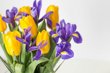 Similar image 21357620