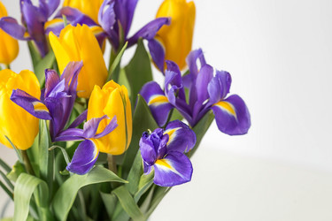 Similar image 21357621