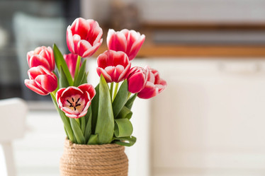 Similar image 21354178