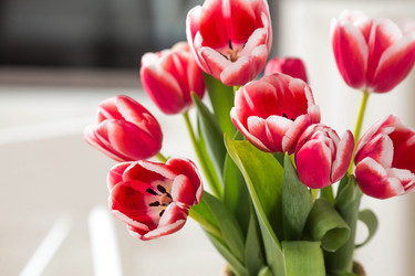 Similar image 21354179