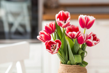 Similar image 21354180