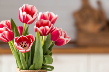 Similar image 21361090