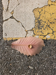 Similar image 21351545