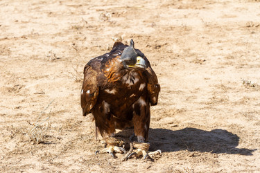 Similar image 21351548