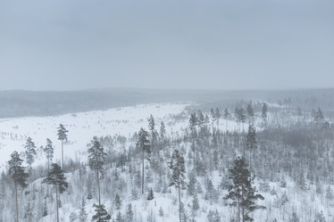 Similar image 21351931