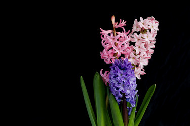 Similar image 21351950