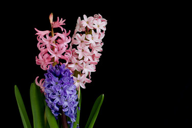 Similar image 21351952