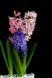 Similar image 21351953