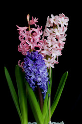 Similar image 21351954