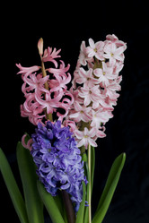 Similar image 21351955